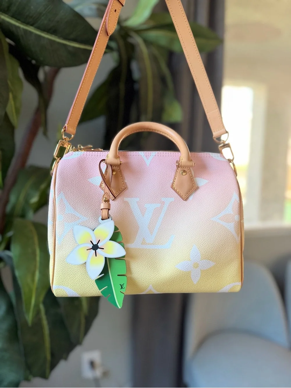 Louis Vuitton By The Pool Speedy B 25